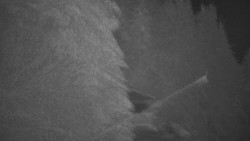 Panorama Jižní svahy, Hotel, Nástup