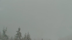 Panorama Jižní svahy, Hotel, Nástup