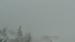 Panorama Jižní svahy, Hotel, Nástup