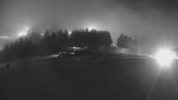 Panorama Jižní svahy, Hotel, Nástup