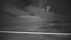 Panorama Jižní svahy, Hotel, Nástup