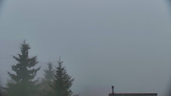 Panorama Jižní svahy, Hotel, Nástup