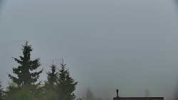 Panorama Jižní svahy, Hotel, Nástup