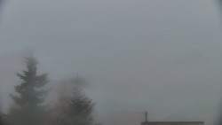 Panorama Jižní svahy, Hotel, Nástup