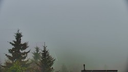 Panorama Jižní svahy, Hotel, Nástup