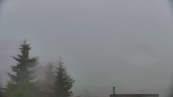 Panorama Jižní svahy, Hotel, Nástup