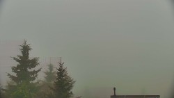 Panorama Jižní svahy, Hotel, Nástup