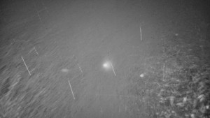 Červenohorské sedlo - Restaurace "deštník" - dojezd žlutá sjezdovka - 7.12.2025 v 17:00 Červenohorské sedlo - Restaurace "deštník" - dojezd žlutá sjezdovka - 7.12.2025 v 17:00