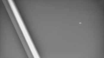 Snímek 8.11.2025 v 19:03