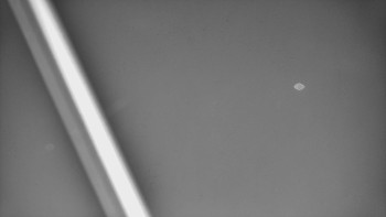 Snímek 8.11.2025 v 19:16