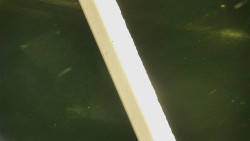 Restaurace U Vleku a parkoviště