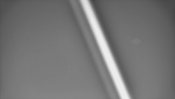 Restaurace U Vleku a parkoviště