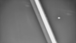 Restaurace U Vleku a parkoviště