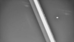 Restaurace U Vleku a parkoviště