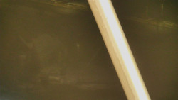 Restaurace U Vleku a parkoviště