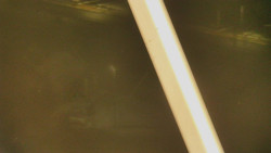 Restaurace U Vleku a parkoviště