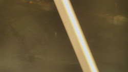 Restaurace U Vleku a parkoviště