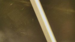 Restaurace U Vleku a parkoviště