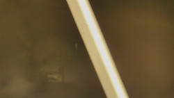 Restaurace U Vleku a parkoviště