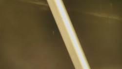 Restaurace U Vleku a parkoviště