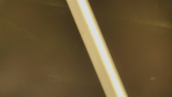 Restaurace U Vleku a parkoviště