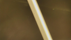 Restaurace U Vleku a parkoviště