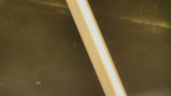 Restaurace U Vleku a parkoviště