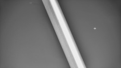 Restaurace U Vleku a parkoviště