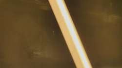 Restaurace U Vleku a parkoviště