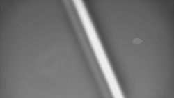 Restaurace U Vleku a parkoviště