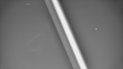 Restaurace U Vleku a parkoviště