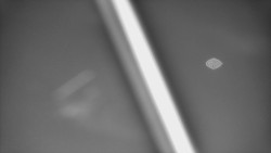 Restaurace U Vleku a parkoviště