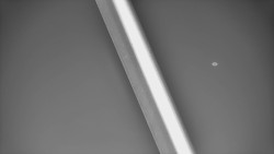 Restaurace U Vleku a parkoviště