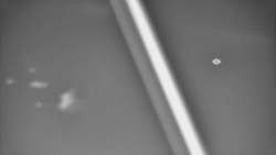 Restaurace U Vleku a parkoviště