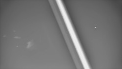 Restaurace U Vleku a parkoviště