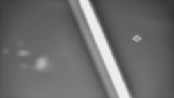 Restaurace U Vleku a parkoviště