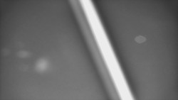 Restaurace U Vleku a parkoviště