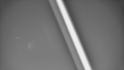 Restaurace U Vleku a parkoviště