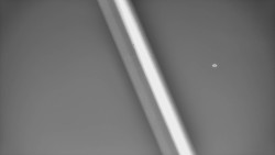 Restaurace U Vleku a parkoviště