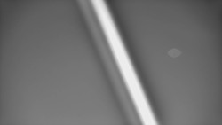 Restaurace U Vleku a parkoviště