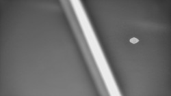 Restaurace U Vleku a parkoviště