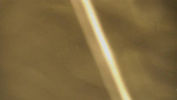 Restaurace U Vleku a parkoviště