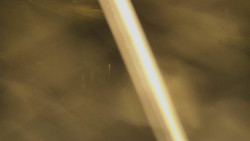 Restaurace U Vleku a parkoviště