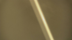 Restaurace U Vleku a parkoviště