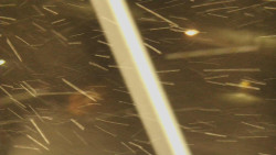 Restaurace U Vleku a parkoviště