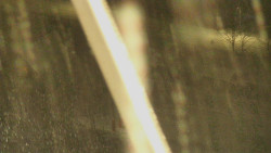 Restaurace U Vleku a parkoviště