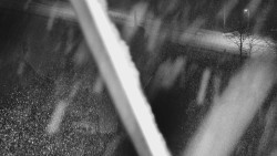 Restaurace U Vleku a parkoviště