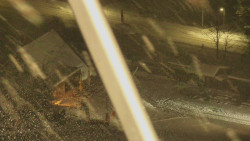 Restaurace U Vleku a parkoviště