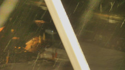 Restaurace U Vleku a parkoviště