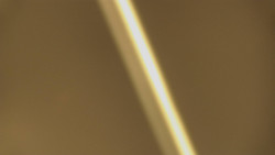 Restaurace U Vleku a parkoviště